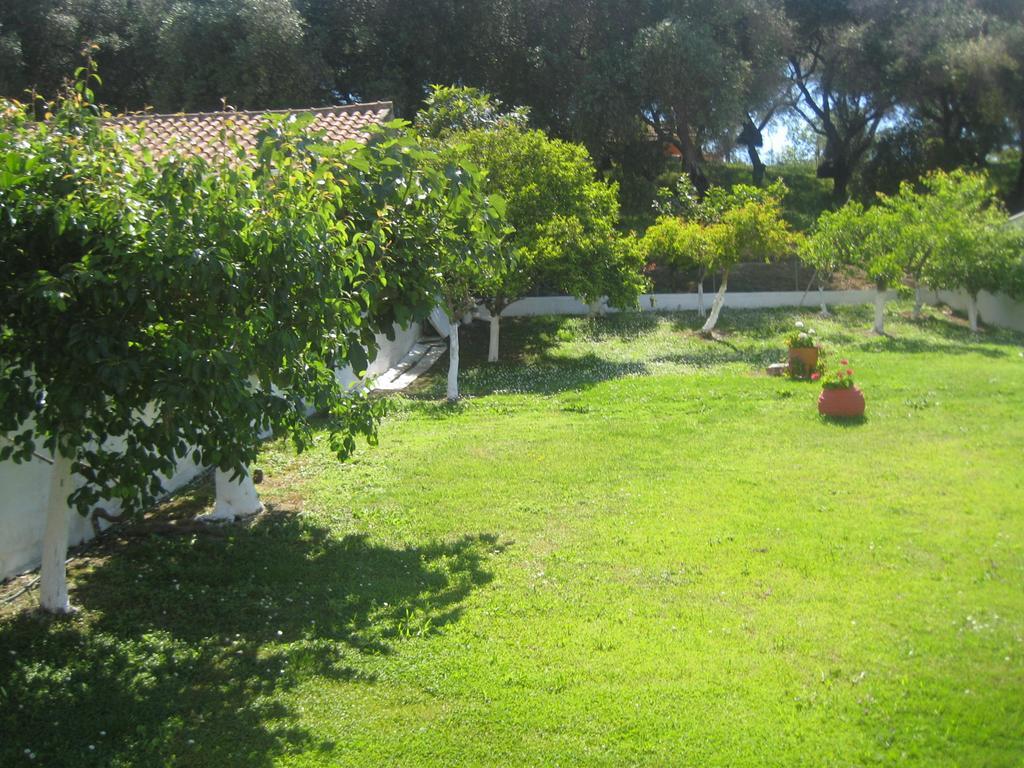 Apartments Elena Kavos Bagian luar foto